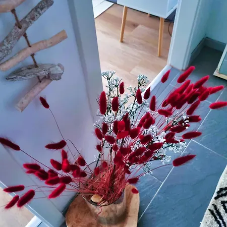 شقة Rentinaustria