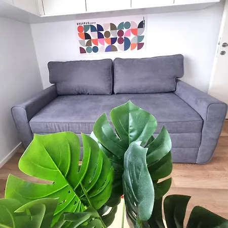 Apartment Rentinaustria