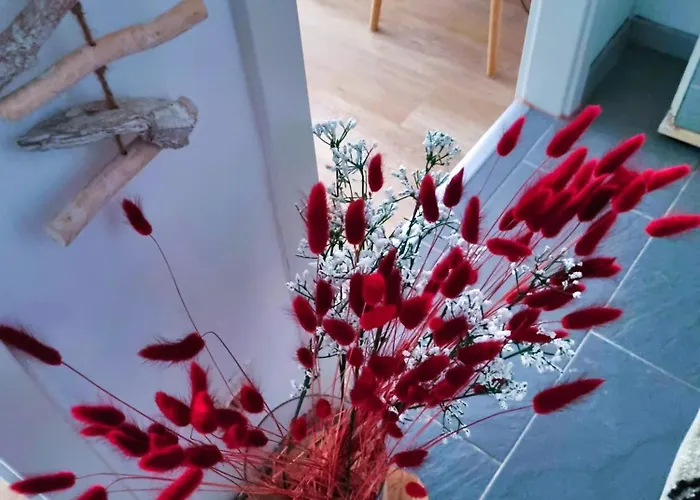 Appartamento Rentinaustria