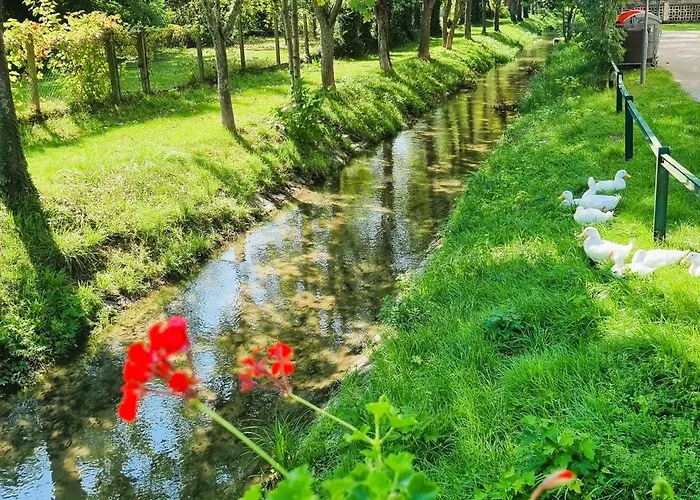 Rentinaustria * Reisenberg